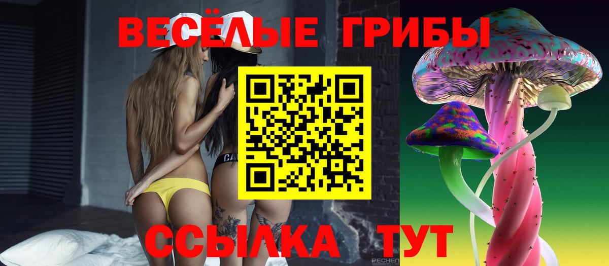 Галлюциногенные грибы Magic Shrooms  цена   Калуга  Вход с VPN 
